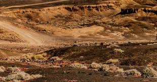 暴雪总裁：2026年将是“规模最大的一年”！